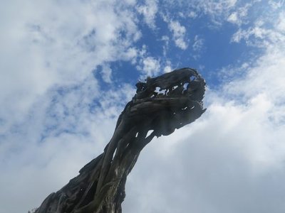 Raurimu Rex
