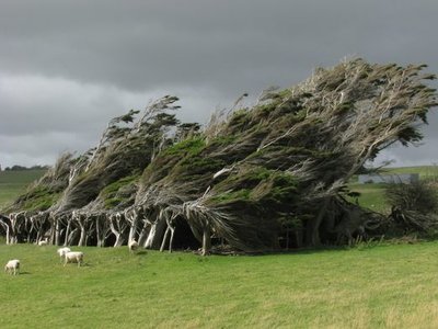 Slope Point