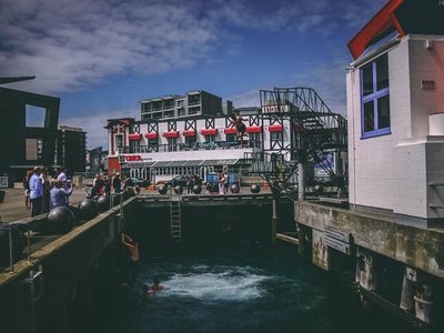 Taranaki Wharf Jump Platform