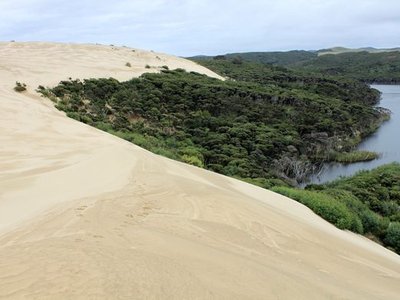 Te Paki Sand Dunes