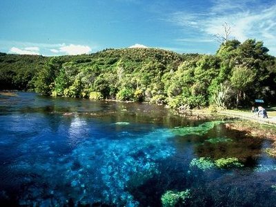 Te Waikoropupu Springs