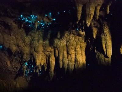 Waipu Caves