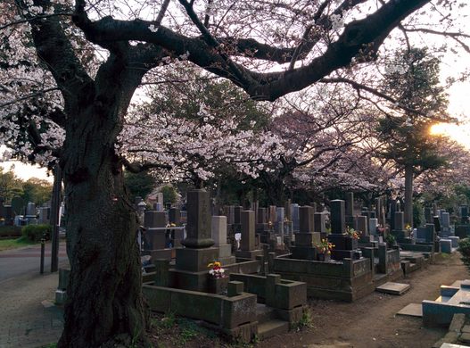 Yanaka Cemetery