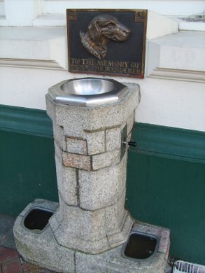 Paddy the Wanderer Fountain