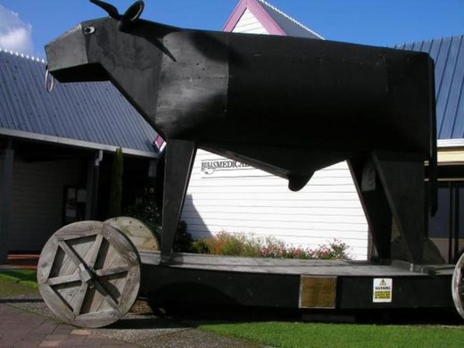 The Town of Bulls