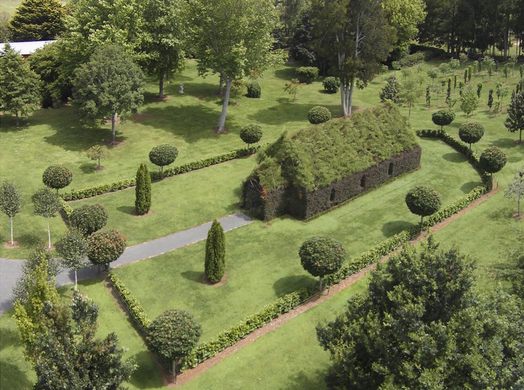 The Tree Church