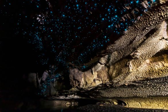 Waipu Caves